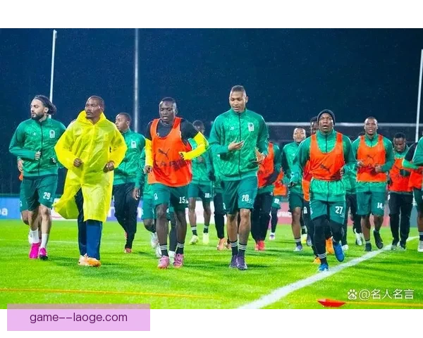 2025年非洲杯确定落户摩洛哥北非足球热潮主办国机遇挑战展望